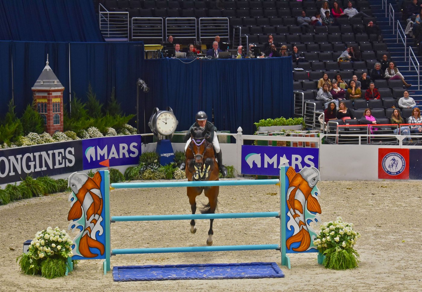 Show jumper and rider in a competition arena
