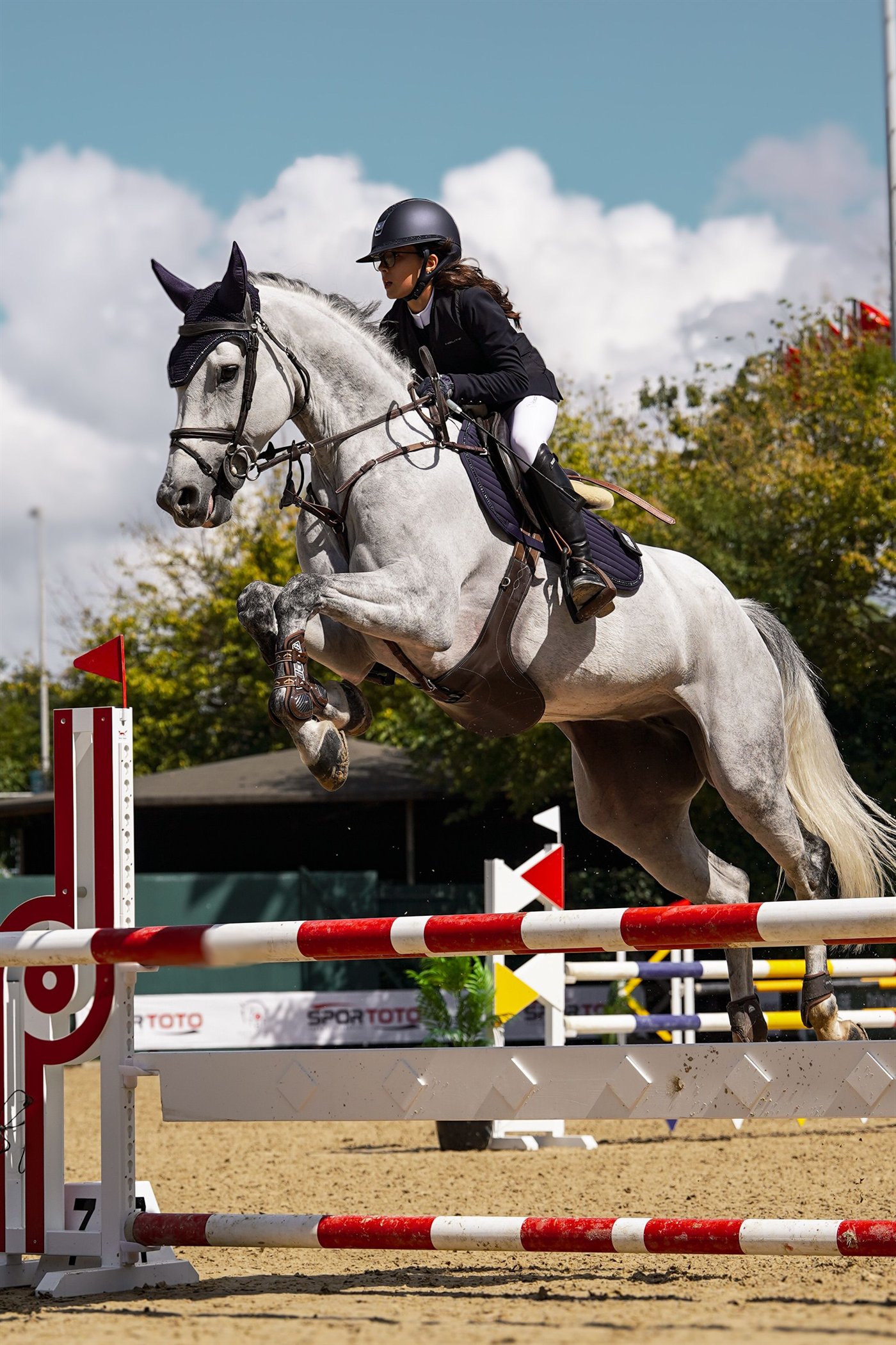 Grey show jumper and rider at a competition