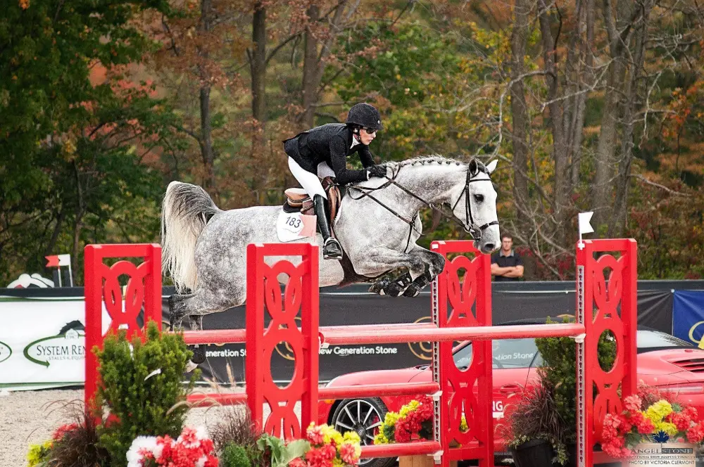 Grey jumper over a red fence at Angelstone