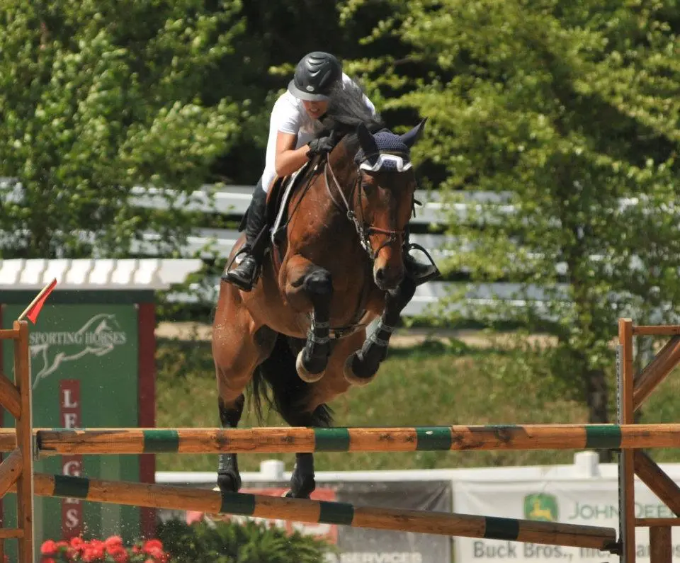 Bay horse and rider approaching the camera over a fence