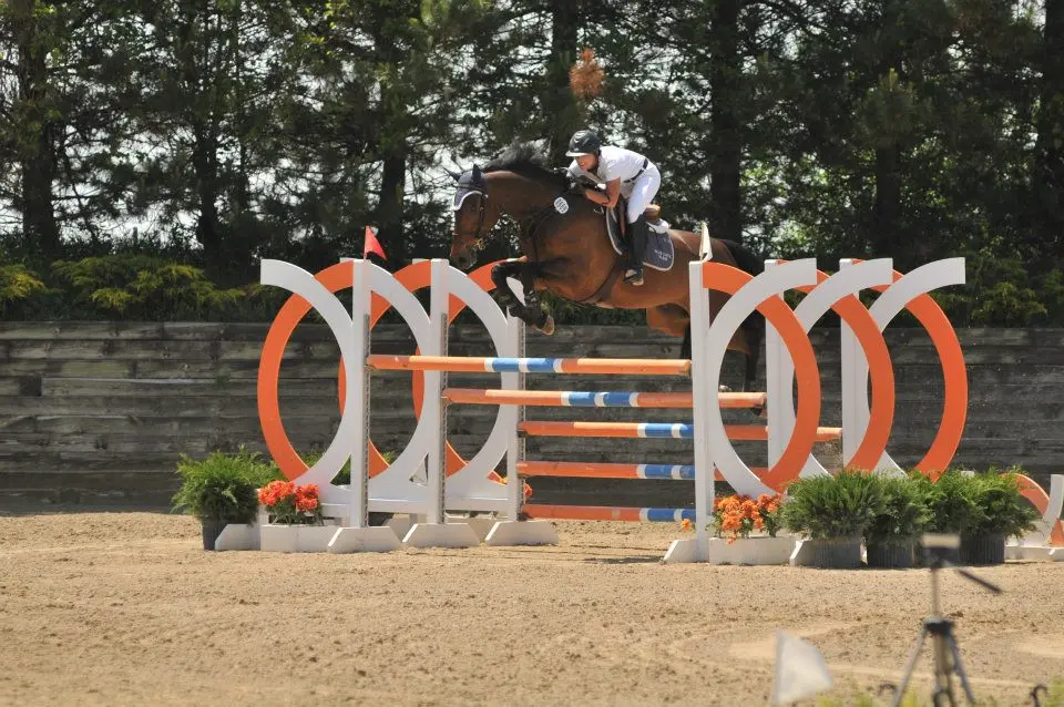 Bay sport horse jumping an orange and white fence