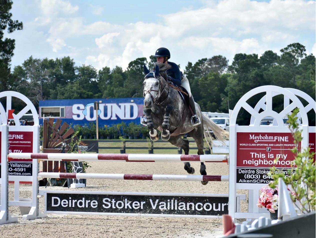 KingHorses dressage horse Europe