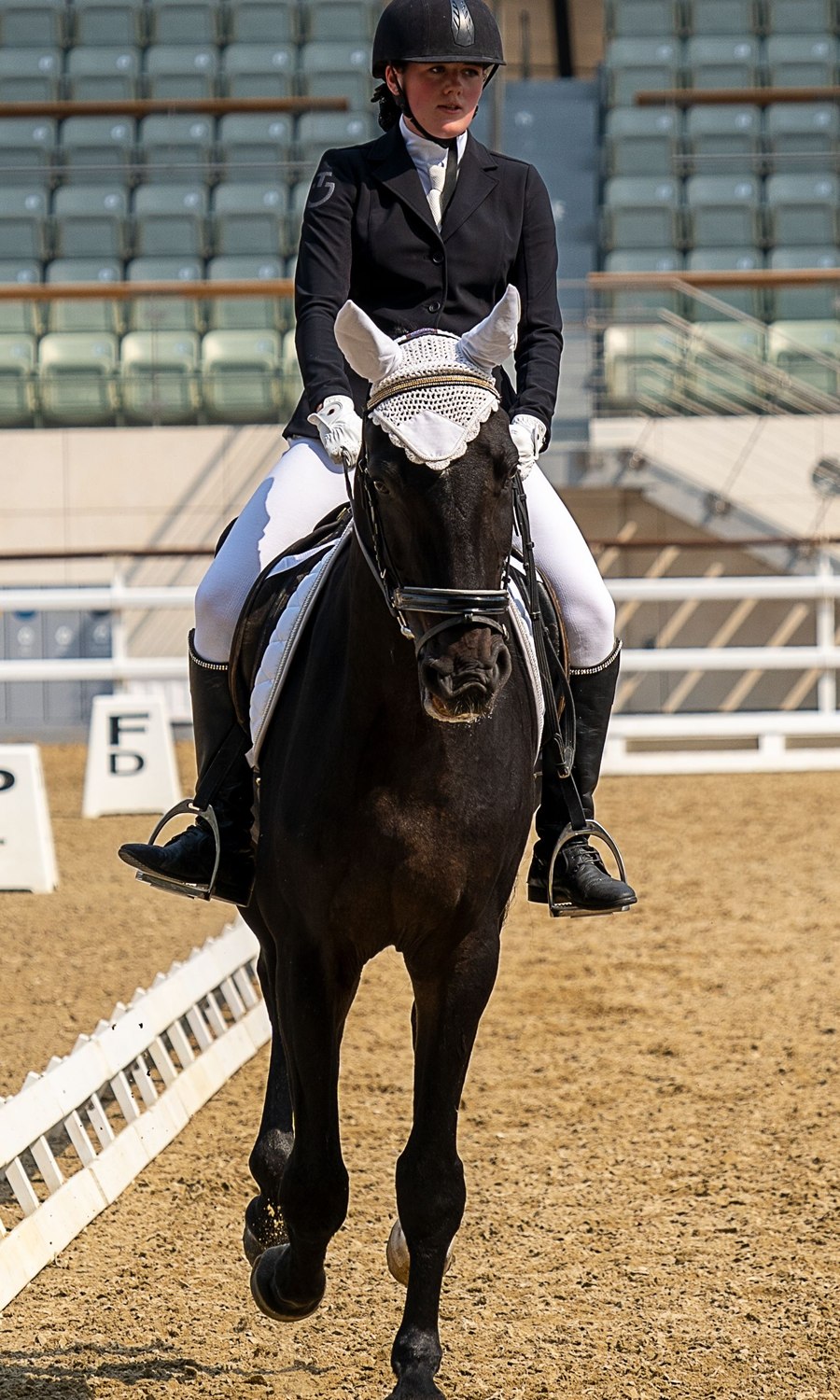 Dressage rider on a black horse in an arena