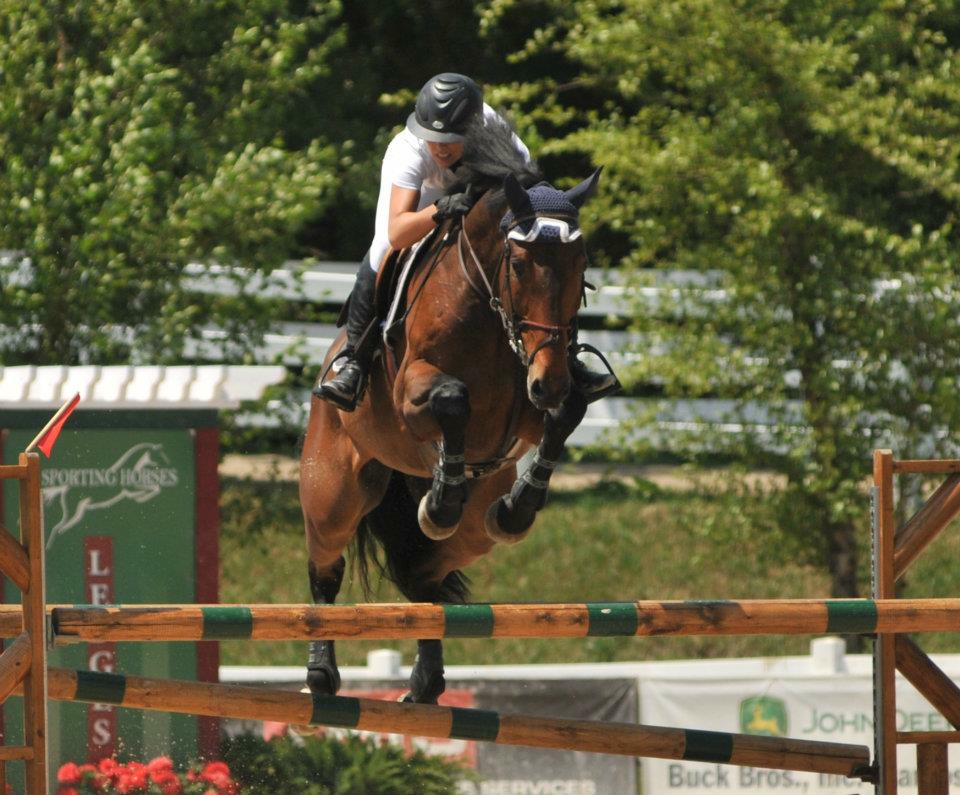 KingHorses jumper horse Grand Prix