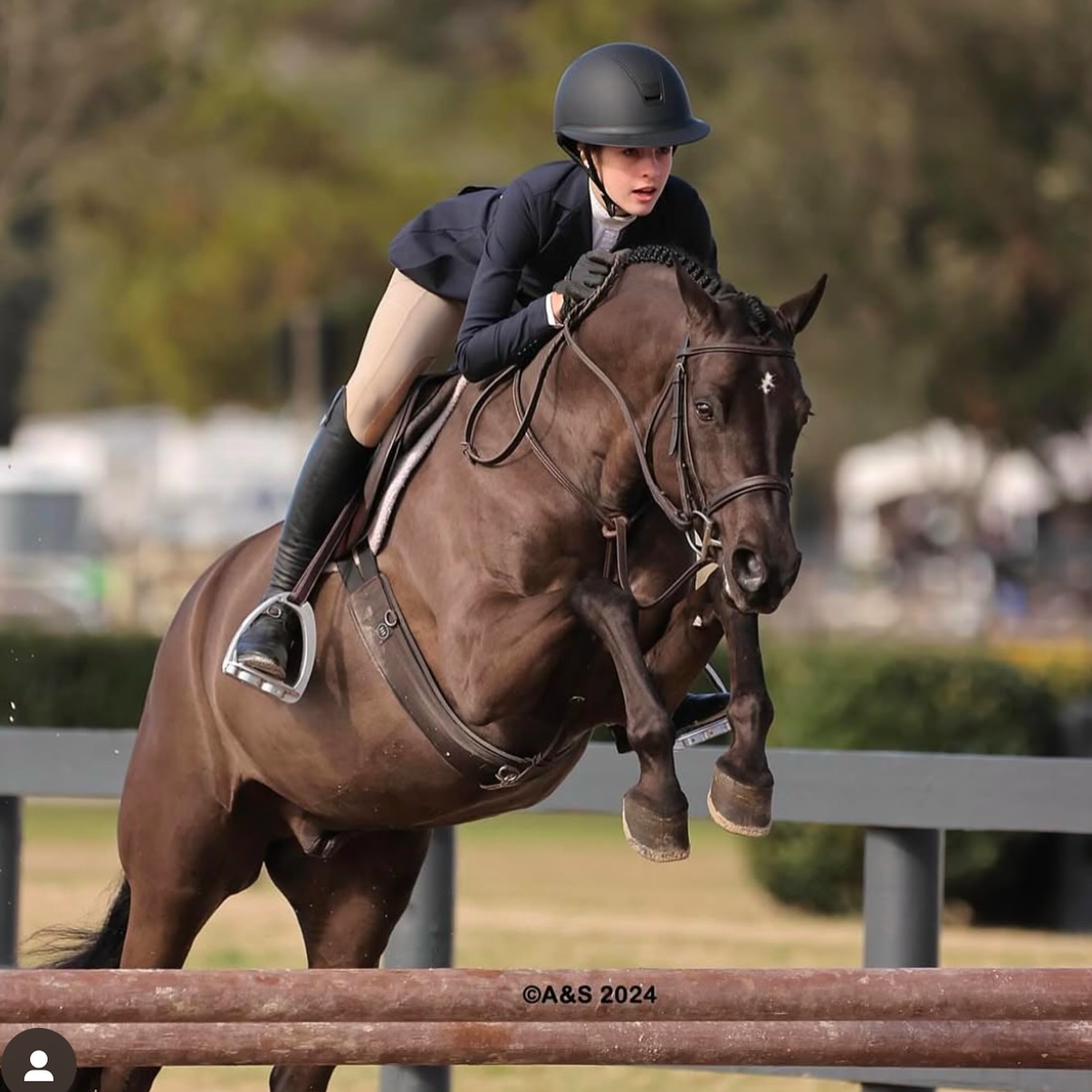 KingHorses show jumping competition